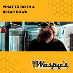 Featured image for the blog "What to do in a break down" showing a truck driver near his truck.