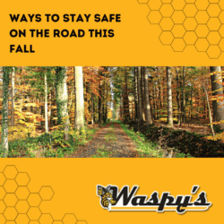 Featured image for the blog "5 Tips to stay safe on the road this fall" showing a road lined with fall trees.