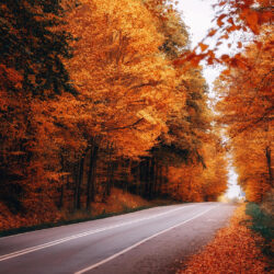 stay safe on the road in the fall season