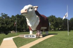 Albert the Bull statue white head with red body