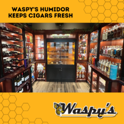 Featured image for blog "Waspy's Humidor Keeps Cigars Fresh"