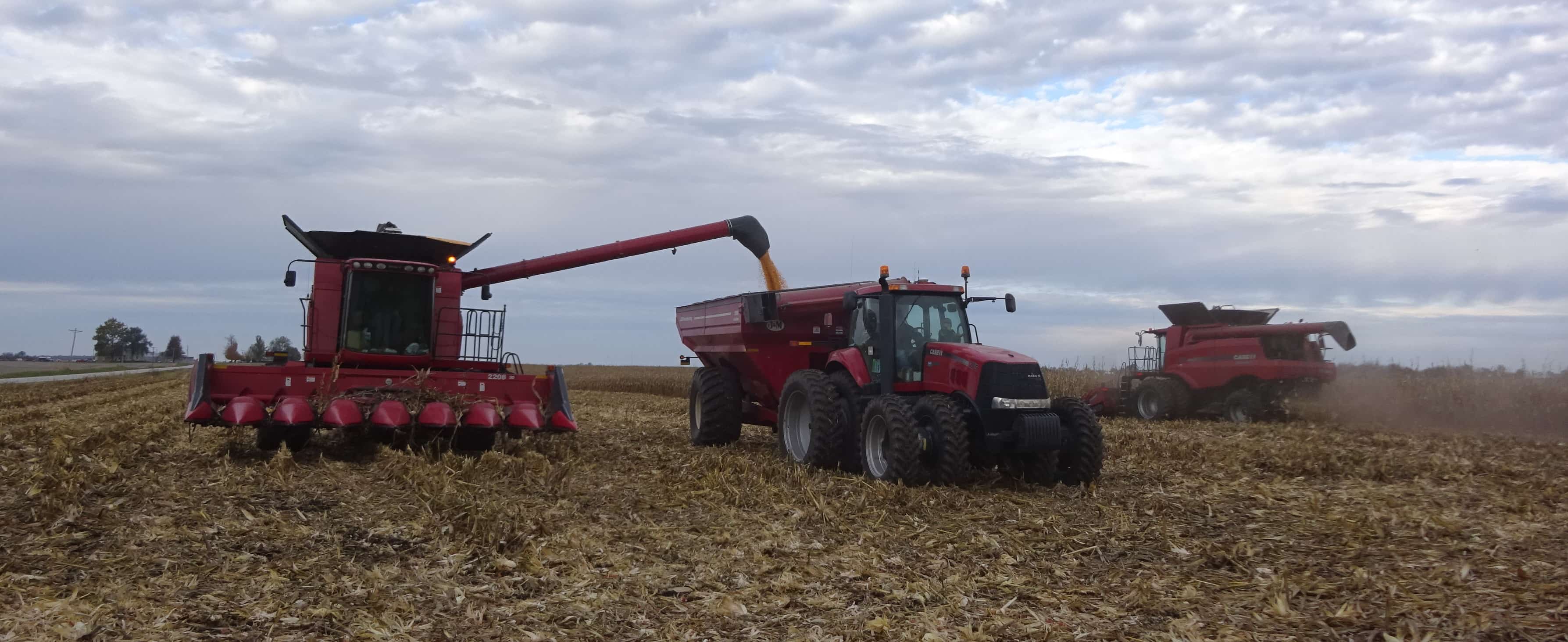 Two Case IH red combines, a red tractor and grain wagon in field harvesting corn