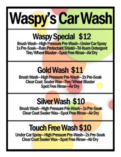 Waspy Car Wash specials