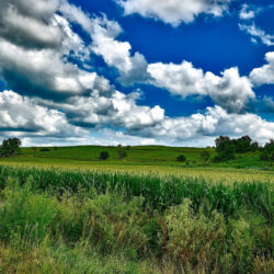 hunting in central iowa