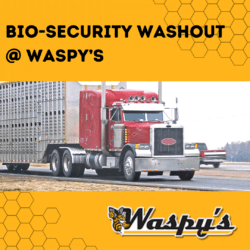 Biosecurity washouts are available at Waspy's Truck Stop.