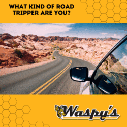 Featured image for blog "What Kind of Road Tripper Are You"