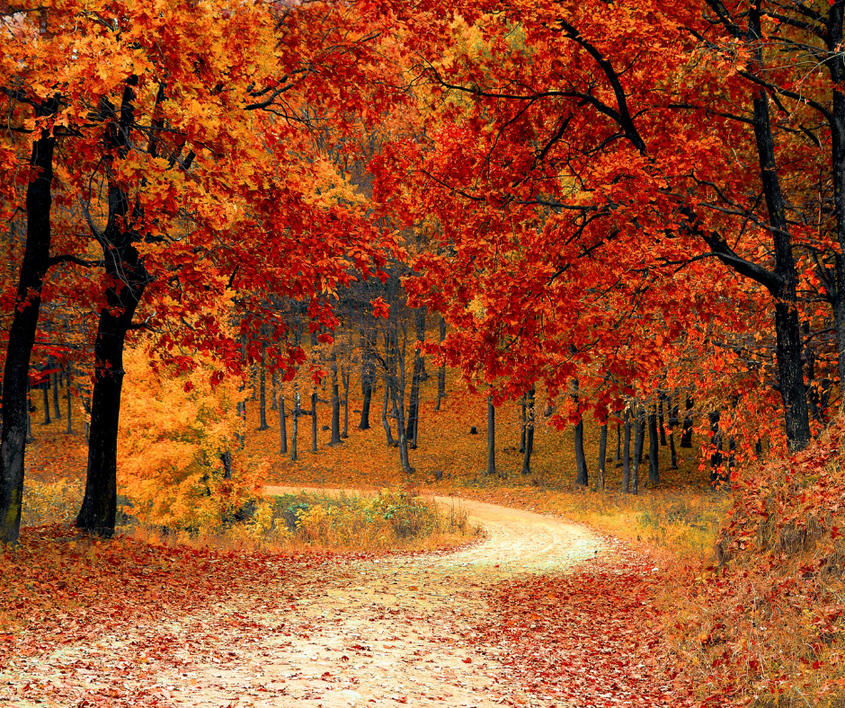 Fall road trip