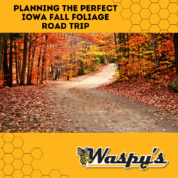 Featured image for blog "Planning the Perfect Iowa Fall Foliage Road Trip"